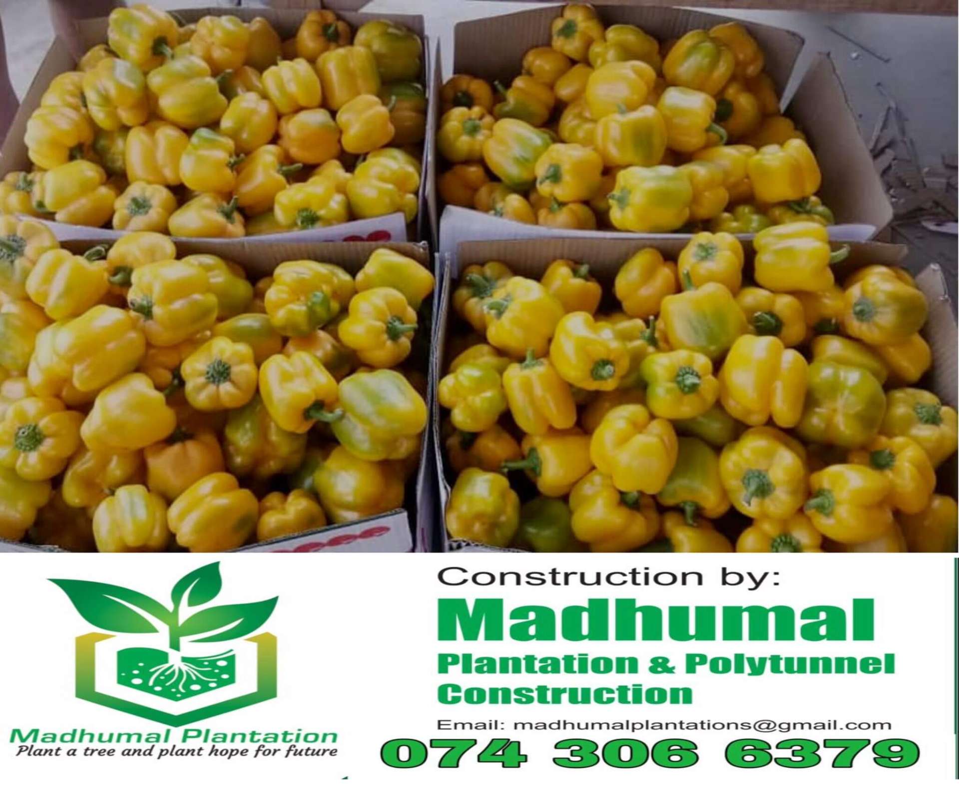 Modern Farming Support