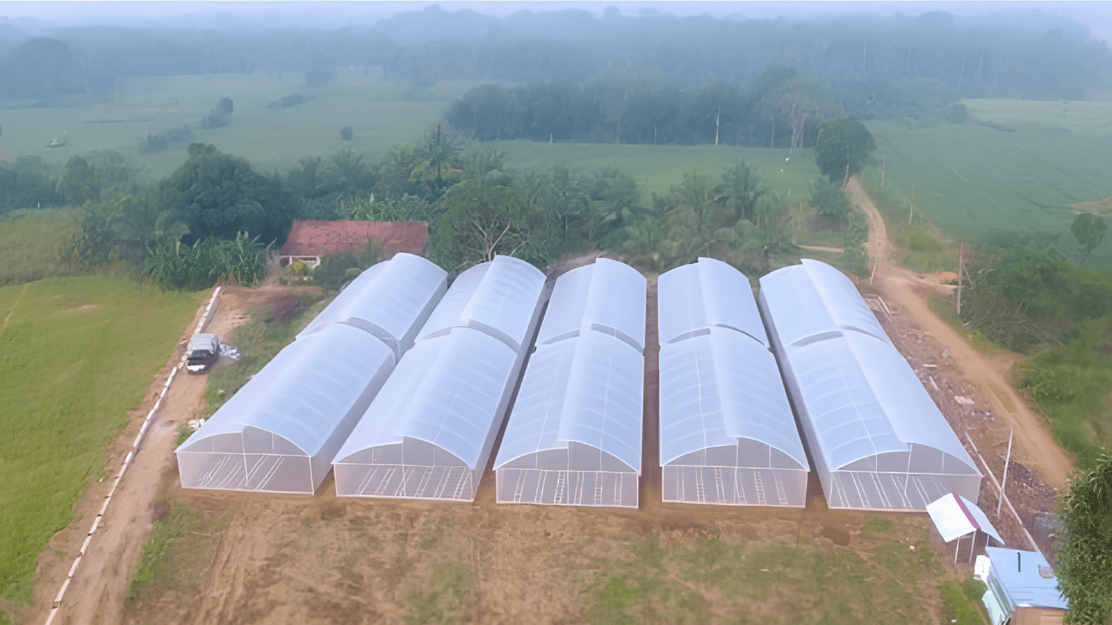 Polytunnel farm built by Madhumal Plantation in Sri Lanka
