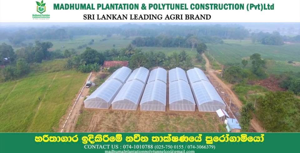 Polytunnel Construction